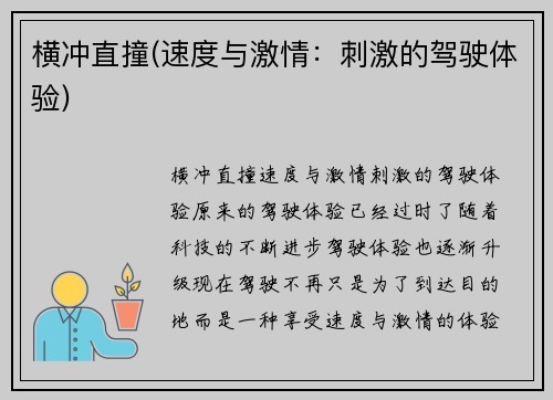 横冲直撞(速度与激情：刺激的驾驶体验)